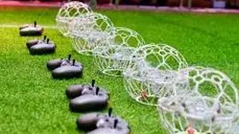 星空体育 资讯 093109 p52