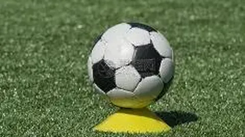 体育魅力永续不息