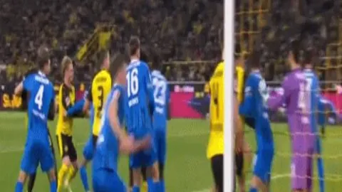 库尼亚誓言：无论安切洛蒂指派何方，全力以赴，争取教练信赖之光